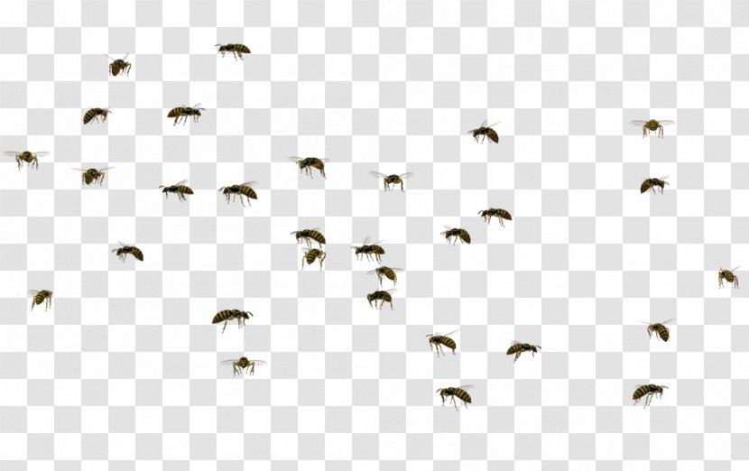 Bee Mosquito Swarm Behaviour Swarming - Sky - Bees Transparent PNG
