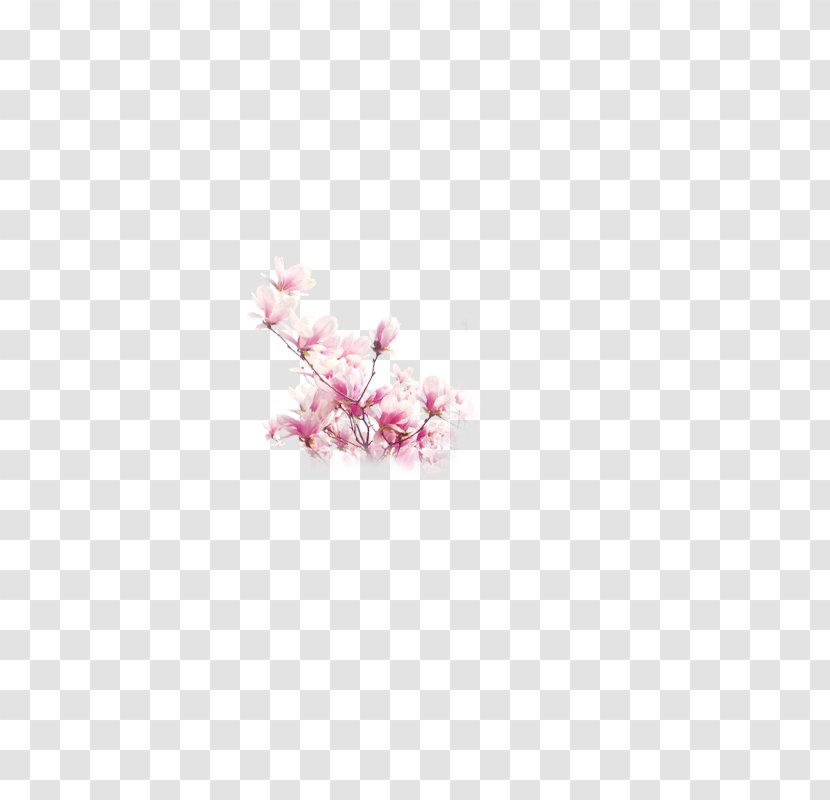 Petal Cherry Blossom Pink Book - Plum Flower Transparent PNG