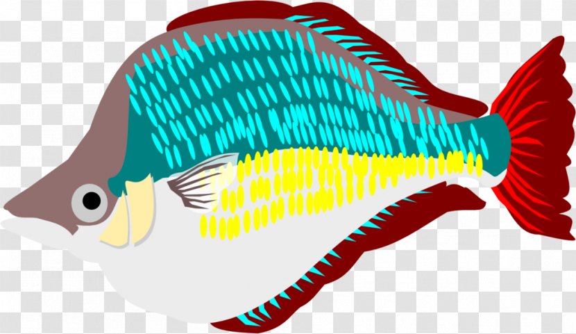 Marine Biology Fauna Clip Art - Organism - Rainbow Fish Transparent PNG