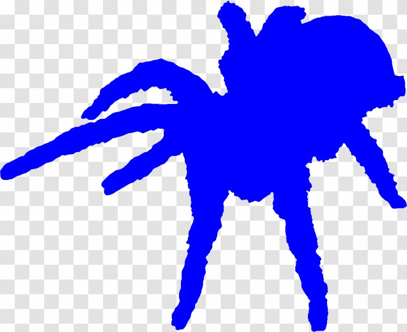 Sea Otter Spider Hermit Crab Invertebrate Desert Tortoise - Silhouette Transparent PNG