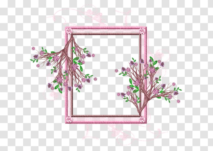 Picture Frames Product Pink M Rectangle Font - Branch - Flora Transparent PNG