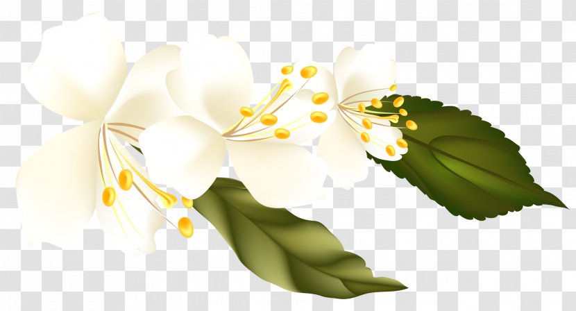 Flower Blossom Clip Art - Spring - Sprin Transparent PNG