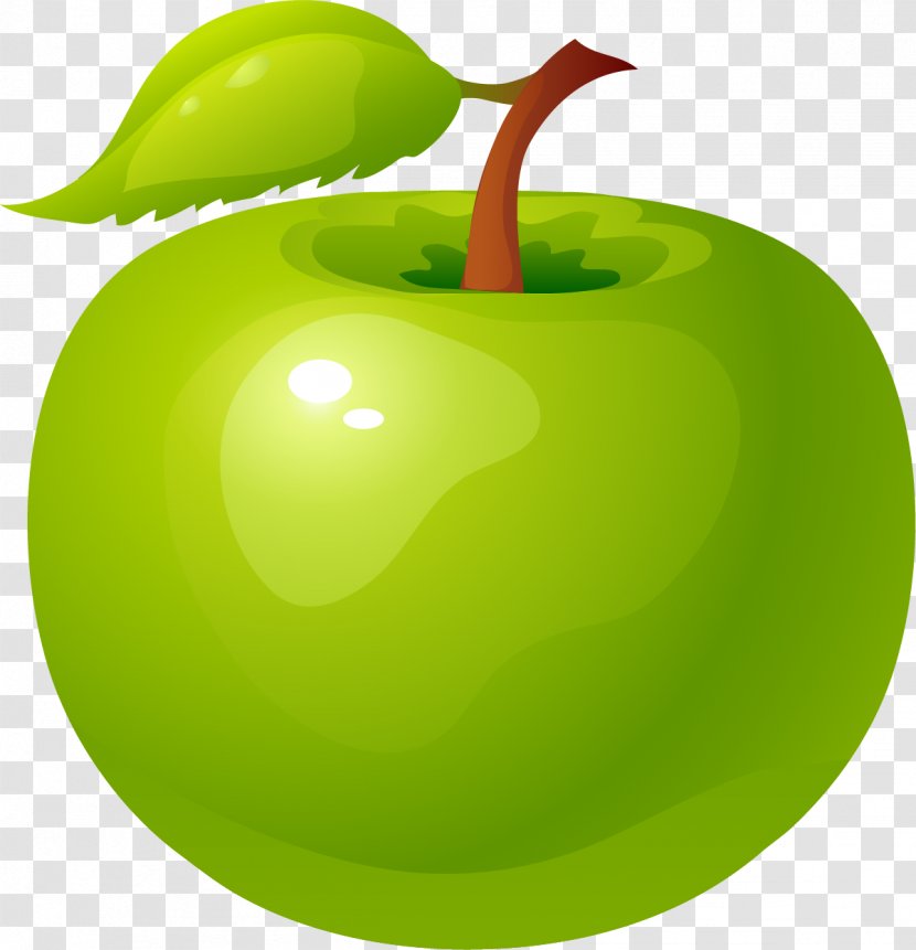 Granny Smith Apple Green - Diet Food - Hand Painted Transparent PNG