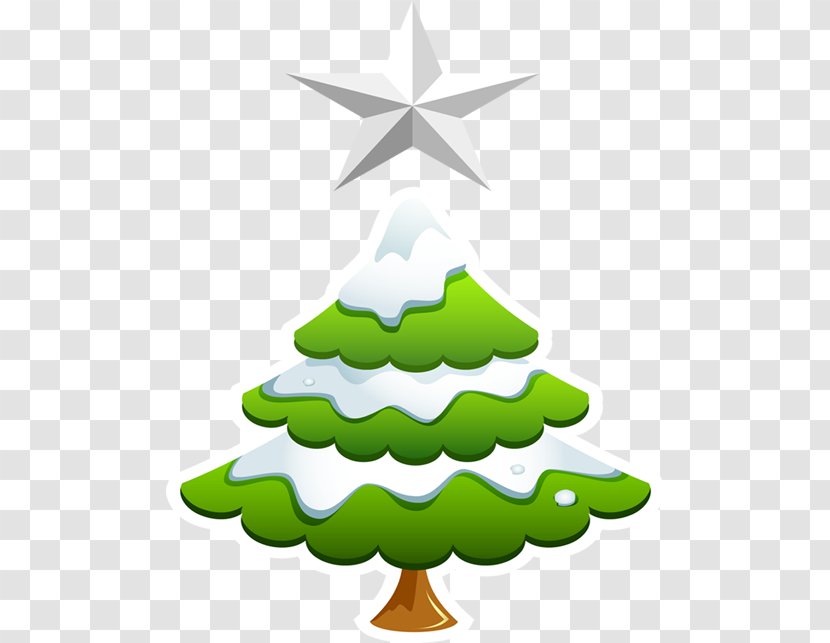Christmas And New Year Background - Spruce - Evergreen Transparent PNG