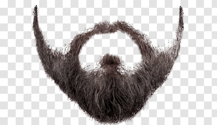 World Beard And Moustache Championships Clip Art Image - Fur - Mustache Clipart Facial Hair Transparent PNG
