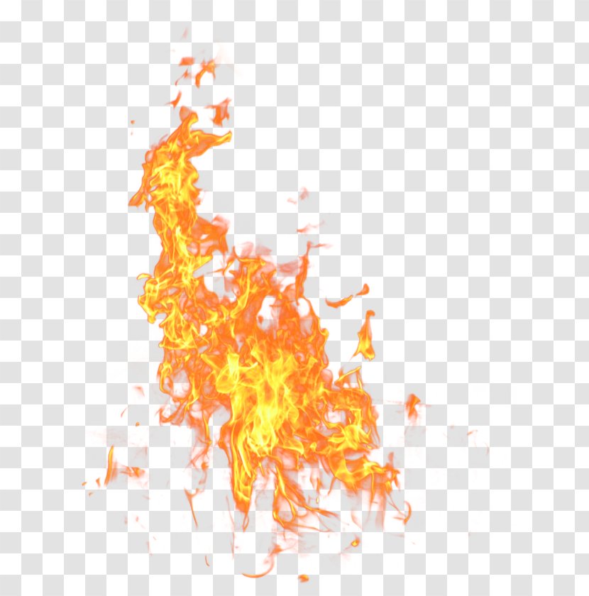Fire Flame - Display Resolution Transparent PNG