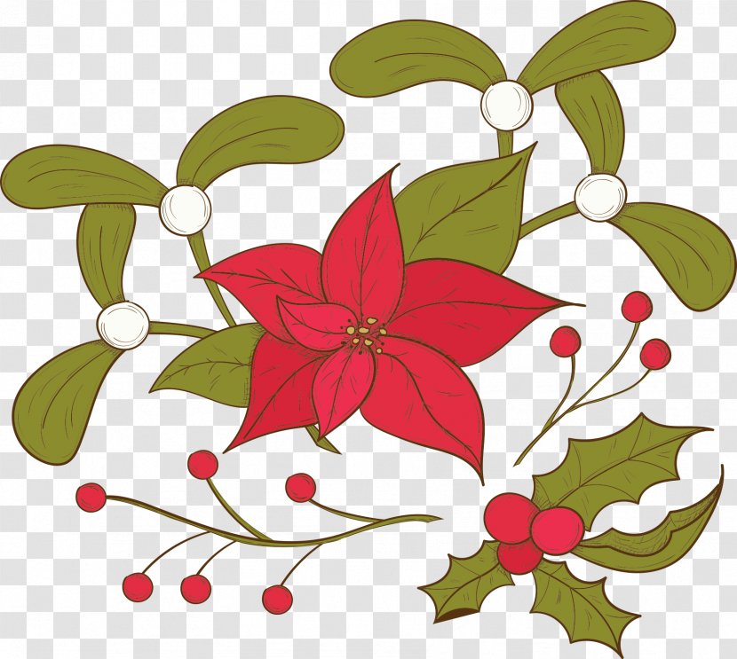 Poinsettia Christmas Flower - Poster - Vector Foliage And Flowers Transparent PNG