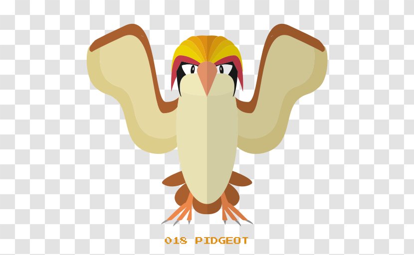 Pidgeotto Pidgey Bangladesh Flight - United States Of America - Beak Transparent PNG