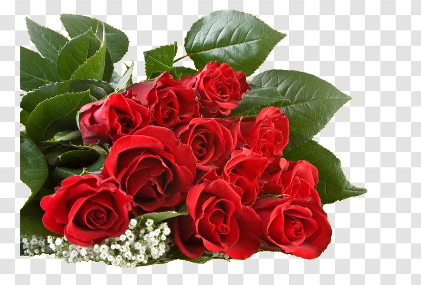 Valentine's Day International Women's Desktop Wallpaper Russia Propose - Flower Bouquet Transparent PNG