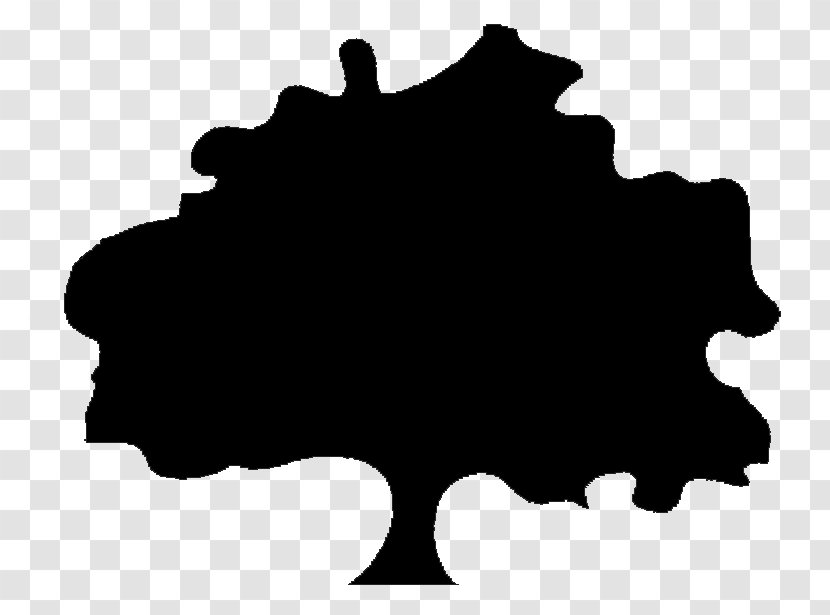 Tree Silhouette - Black - Cedar Transparent PNG