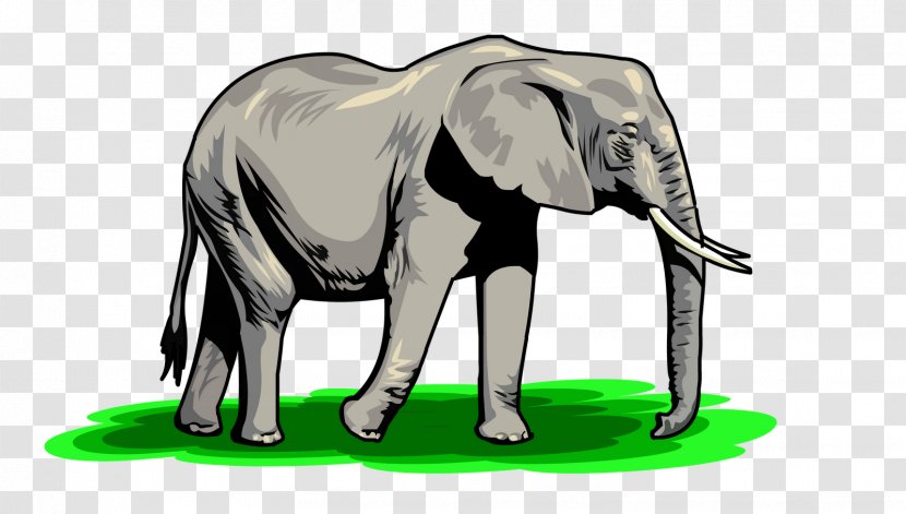 African Elephant Clip Art - Mammal Transparent PNG