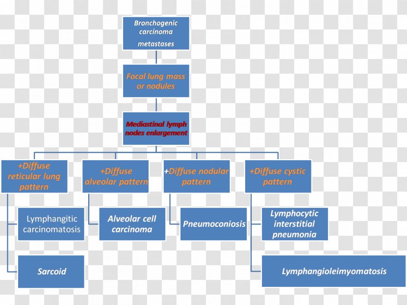 Organizational Chart Work Breakdown Structure Management Project - Business Transparent PNG
