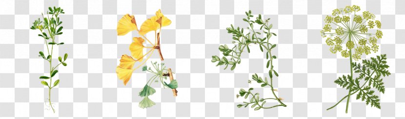 Cut Flowers Plant Stem RODION TRIO Flora Stamperia - Heart - Rodion Malinovsky Transparent PNG