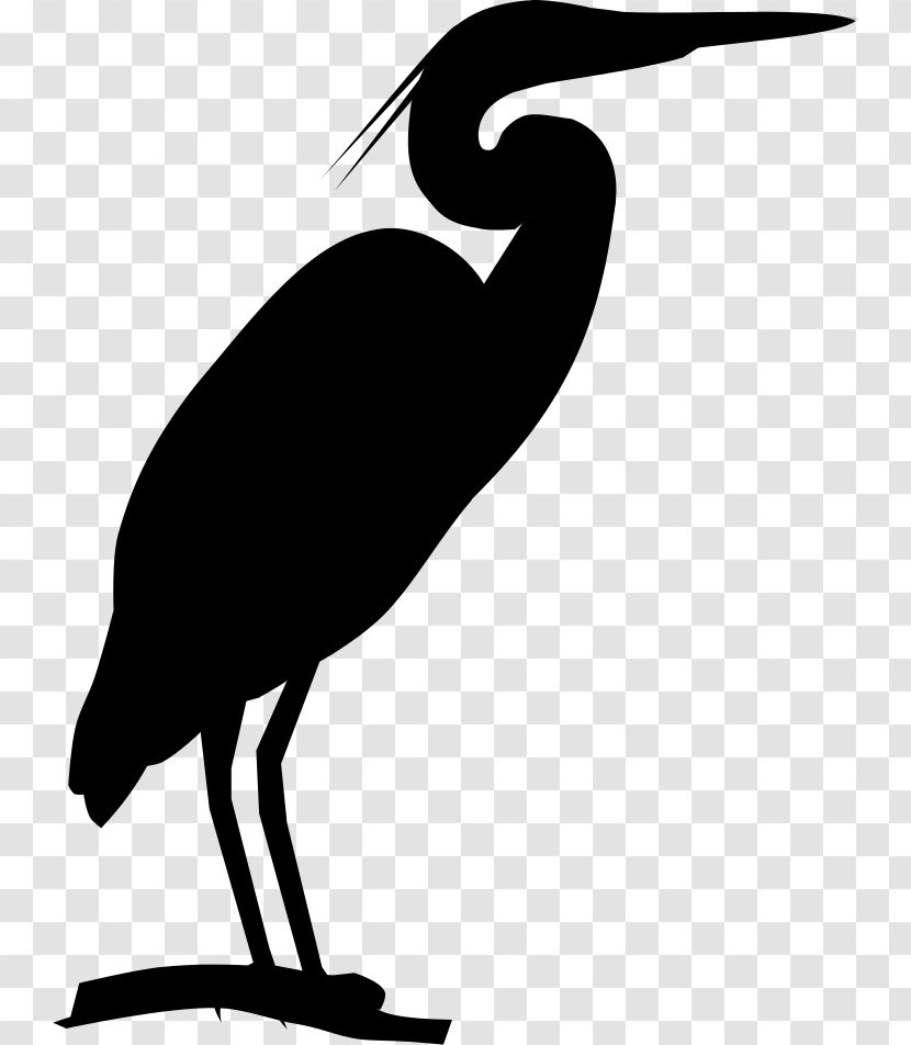Bird Clip Art Beak Fauna Silhouette - Great Heron - Egret Transparent PNG