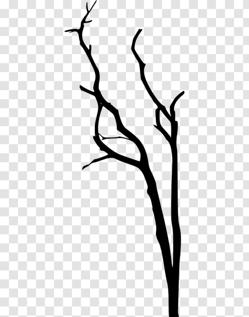 Tree Branch Silhouette - Blackandwhite - Plant Transparent PNG
