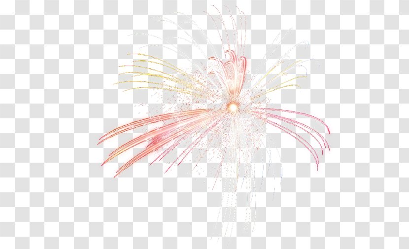 Petal Pattern - Pink - Fireworks Transparent PNG