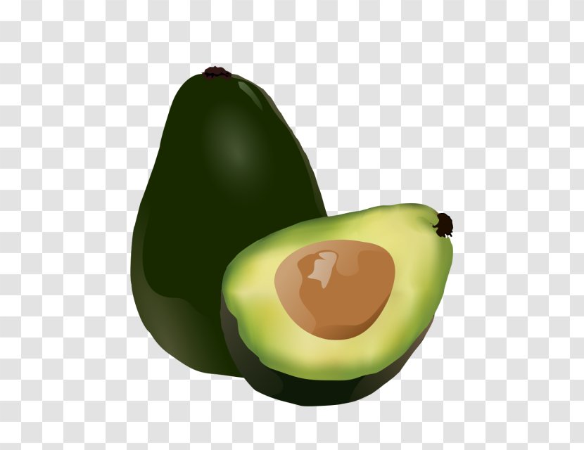 Drawing Clip Art Avocado Image - Superfood Transparent PNG