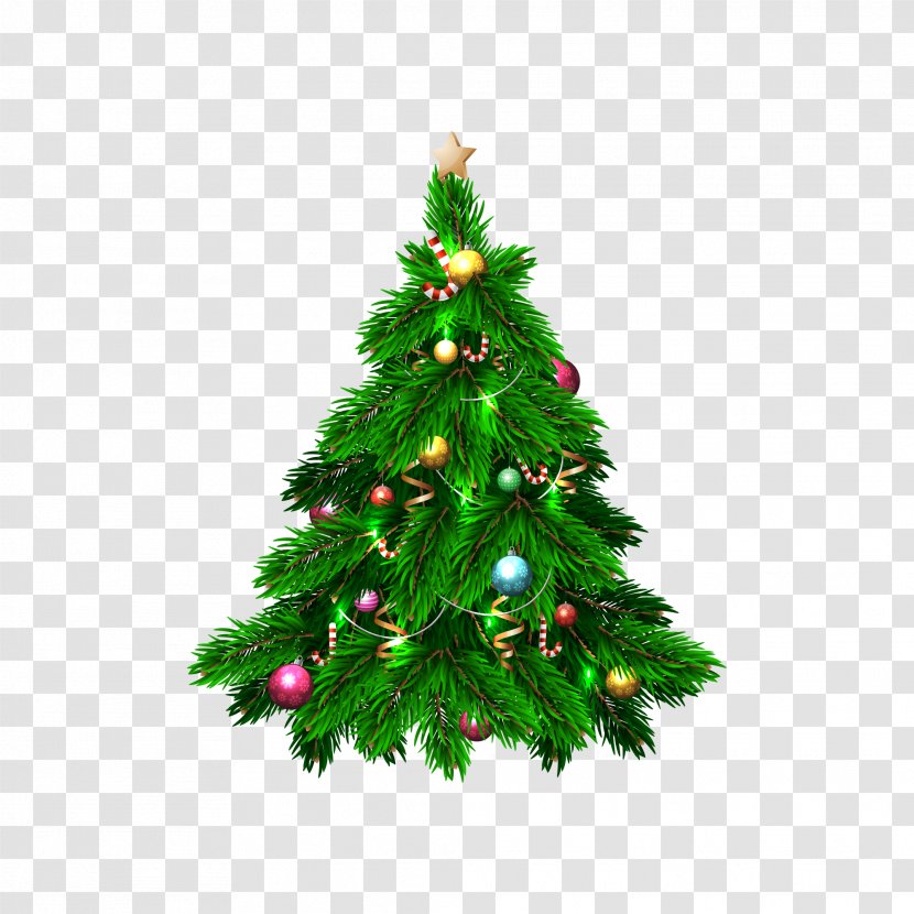 The Decorated Christmas Tree Day Vector Graphics - Decoration Transparent PNG