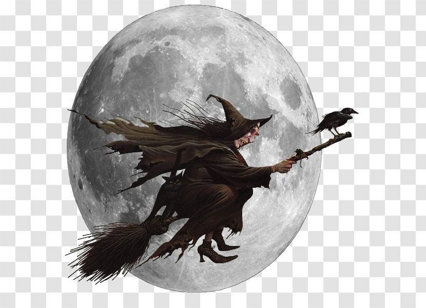Witchcraft YouTube Broom Clip Art - Halloween - Film Lace Transparent PNG