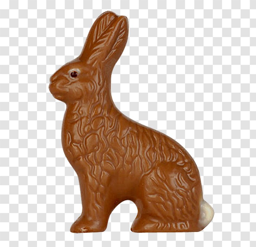 Domestic Rabbit Easter Bunny Hare - Animal Transparent PNG