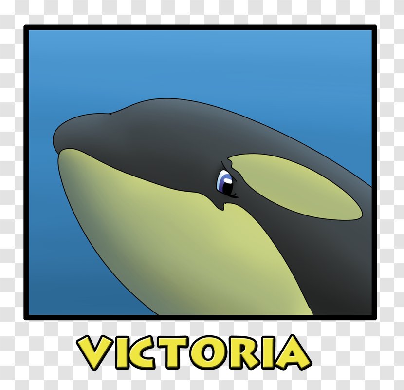 Dolphin Loro Parque The Killer Whale SeaWorld - Cetacea Transparent PNG