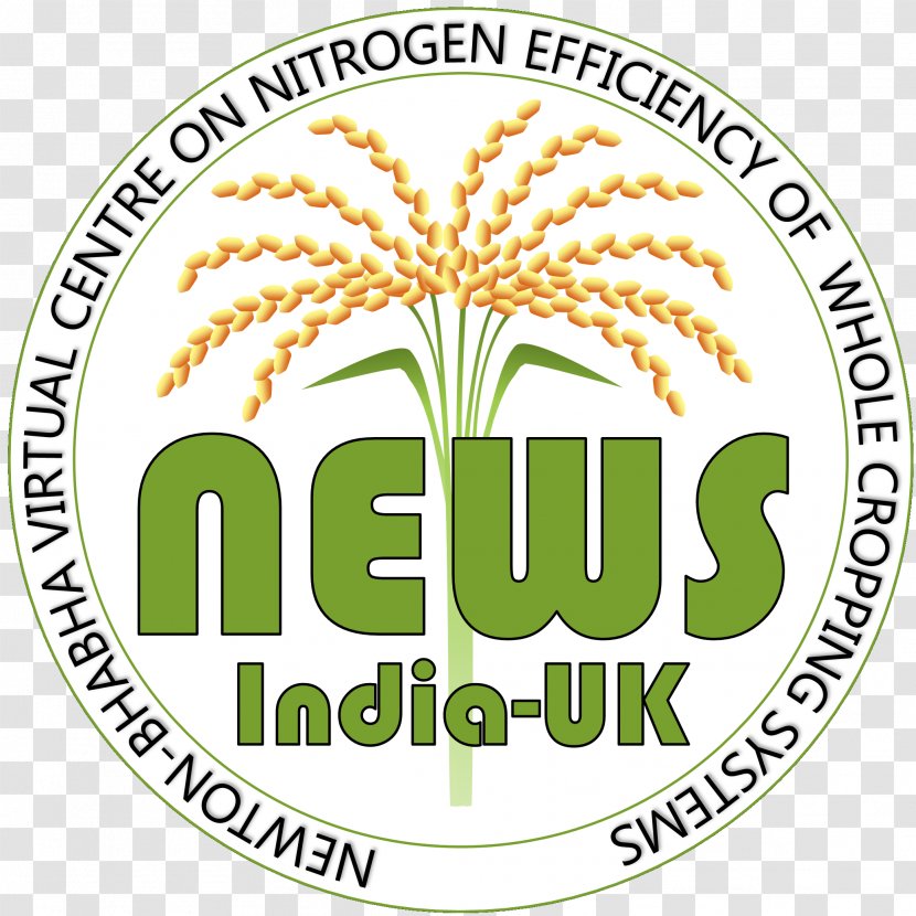 India United Kingdom Organization News Logo - Area Transparent PNG