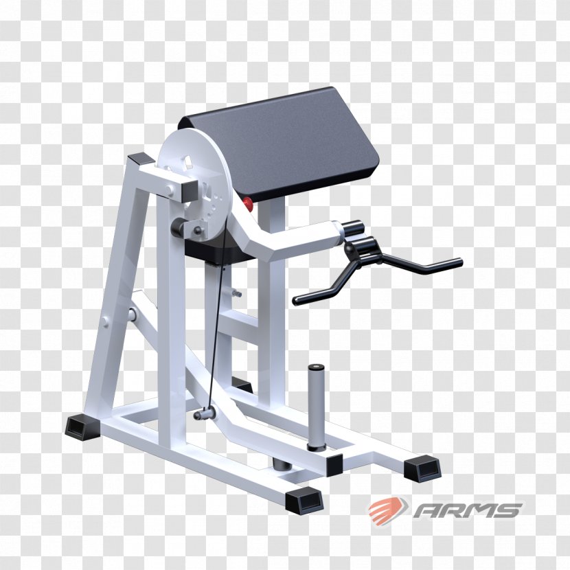 Exercise Machine Physical Fitness Barbell Yaguar-Sport Squat - Suspension Training Transparent PNG