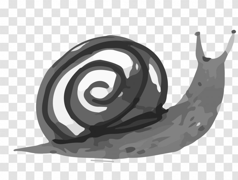 Ink Wash Painting Drawing Watercolor - Silhouette - Cartoon Snail Transparent PNG