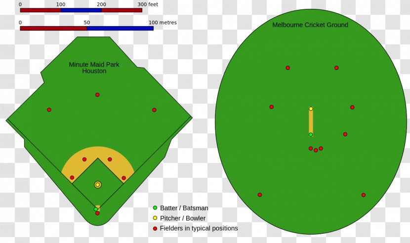 Cricket Field Baseball Positions - Ground Transparent PNG