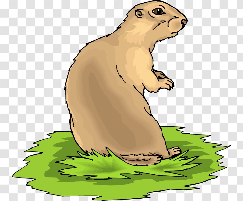 Black-tailed Prairie Dog Clip Art - Bear - Claw Free Buckle Chart Transparent PNG