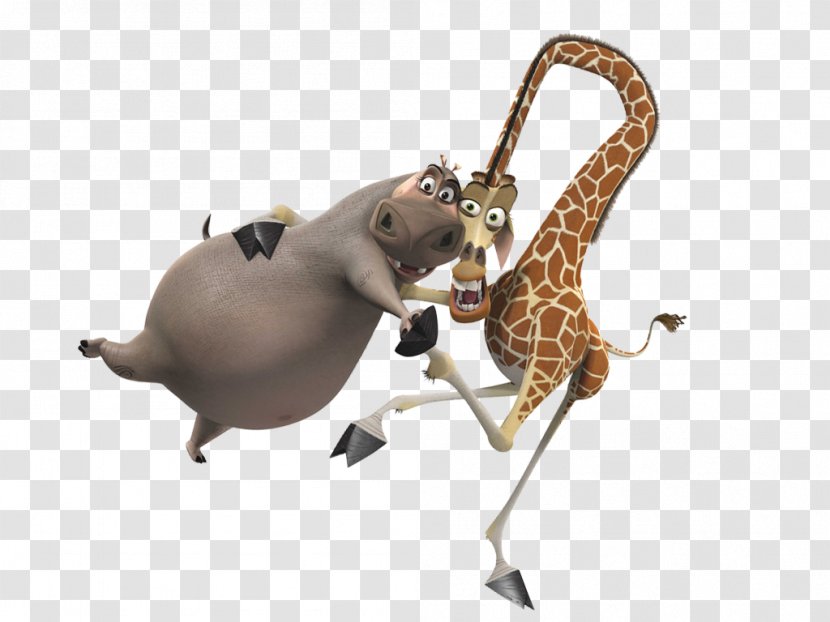 Gloria Melman Madagascar YouTube - Wildlife Transparent PNG