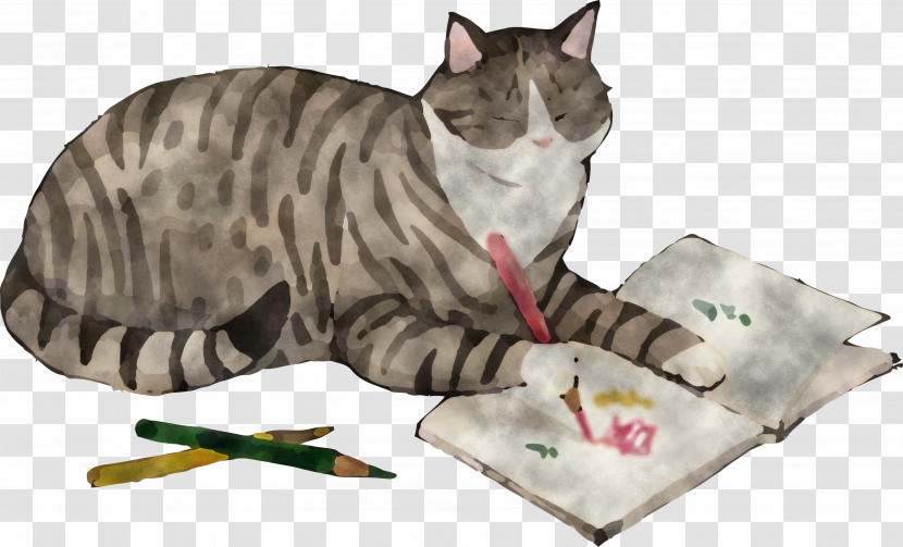 Cat Draw Book Transparent PNG