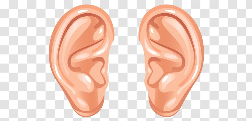 Hearing Clip Art - Frame - Rabbit Ears Transparent PNG