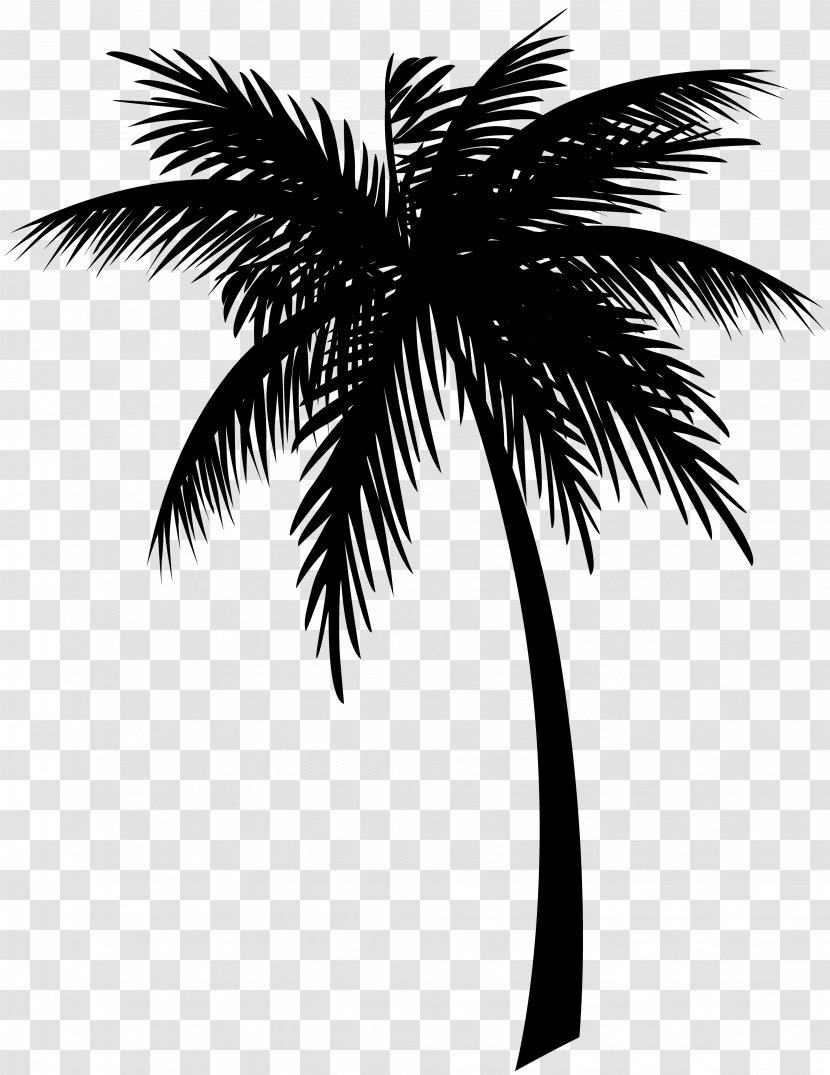 Jamaica Coconut Clip Art Drawing Palm Trees - Sky - Stock Photography Transparent PNG
