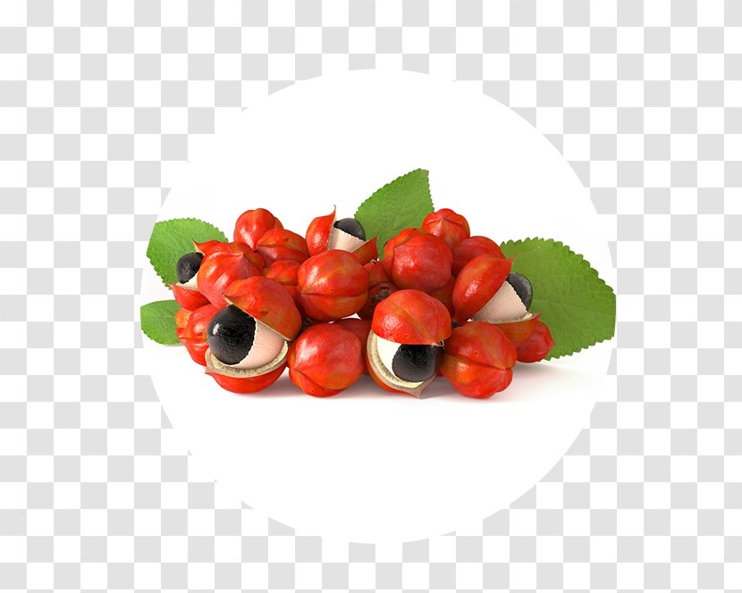 Amazon Rainforest Guarana Caffeinated Drink Extract Fizzy Drinks - Cranberry Transparent PNG