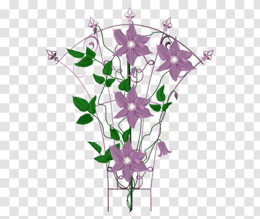 Flowers Background - Son - Ivy Morning Glory Transparent PNG