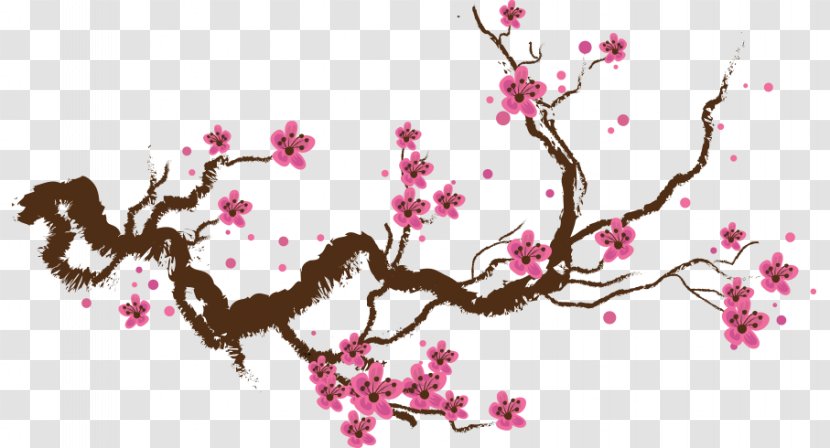 Cherry Blossom Drawing Paper Painting Transparent PNG