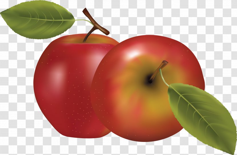 Apple Icon Fruit - Mcintosh Transparent PNG