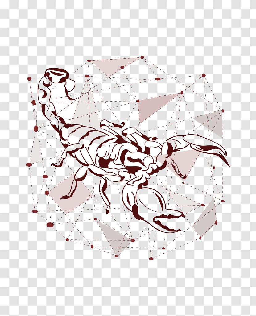 Scorpion Illustration - Flower - Red Transparent PNG