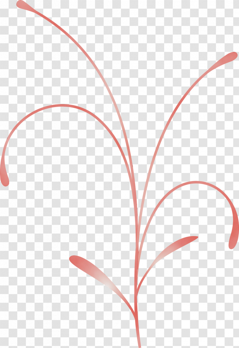 Leaf Red Line Plant Flower Transparent PNG