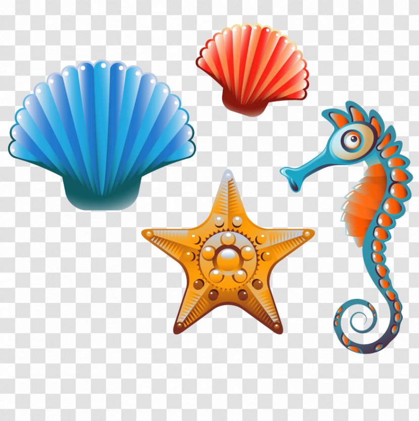 Clam Seashell Cartoon Clip Art - Royaltyfree - Sea Shells And Creative Class Transparent PNG