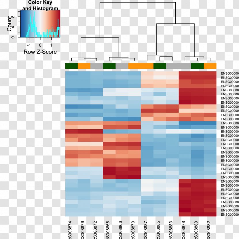 RNA-Seq Gene Expression Heat Map Principal Component Analysis - Rna Transparent PNG