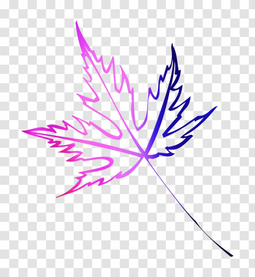 Red Maple Leaf Tree Design - Photography - Autumn Color Transparent PNG