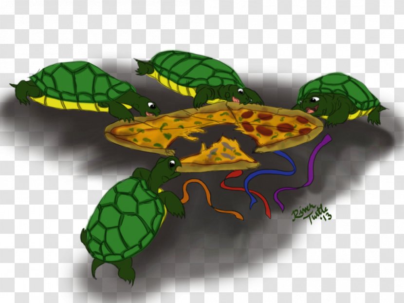 Tortoise - Turtle - Design Transparent PNG