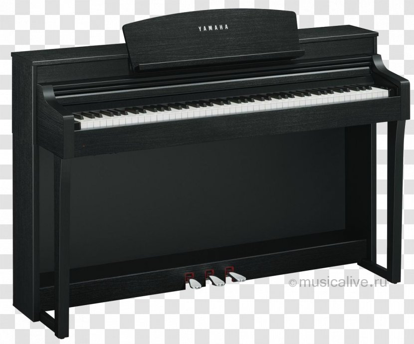 Clavinova Yamaha Corporation Digital Piano Keyboard - Tree - Electronic Transparent PNG