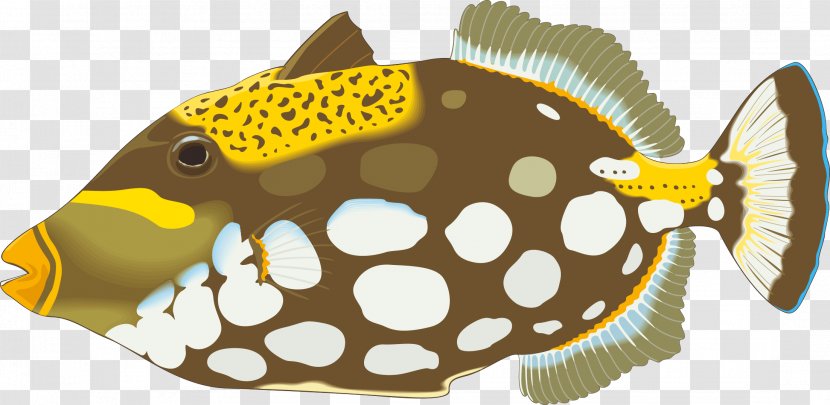 Angelfish Triggerfish Royalty-free Illustration - Art - Cute Fish Seabed Vector Material Transparent PNG