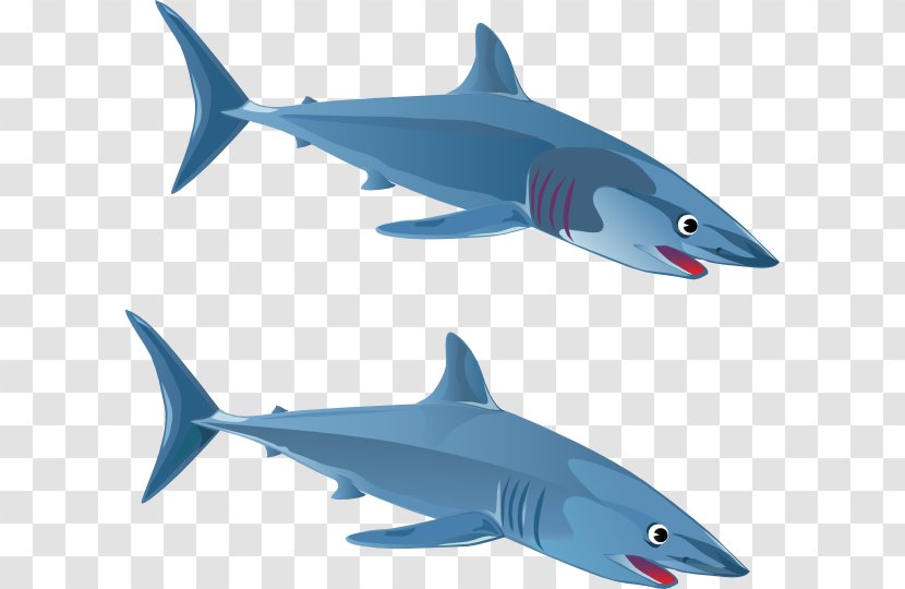 Blue Shark Great White Clip Art - Fin - Free Images Transparent PNG