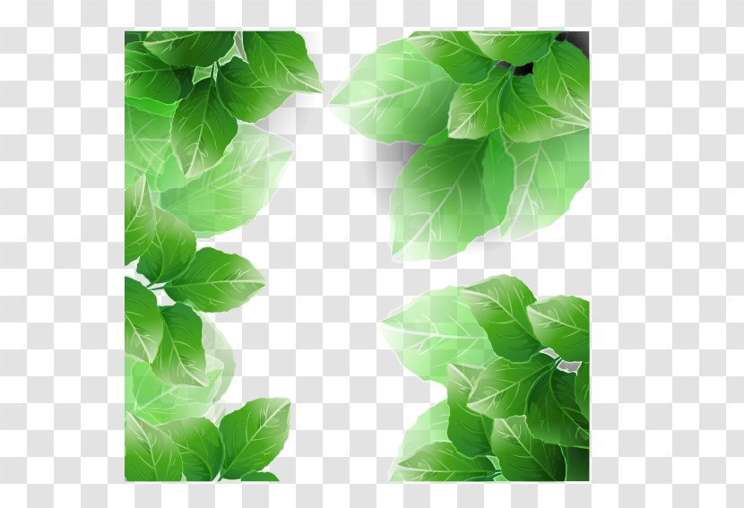 Leaf Clip Art - Digital Image - Green Leaves Transparent PNG
