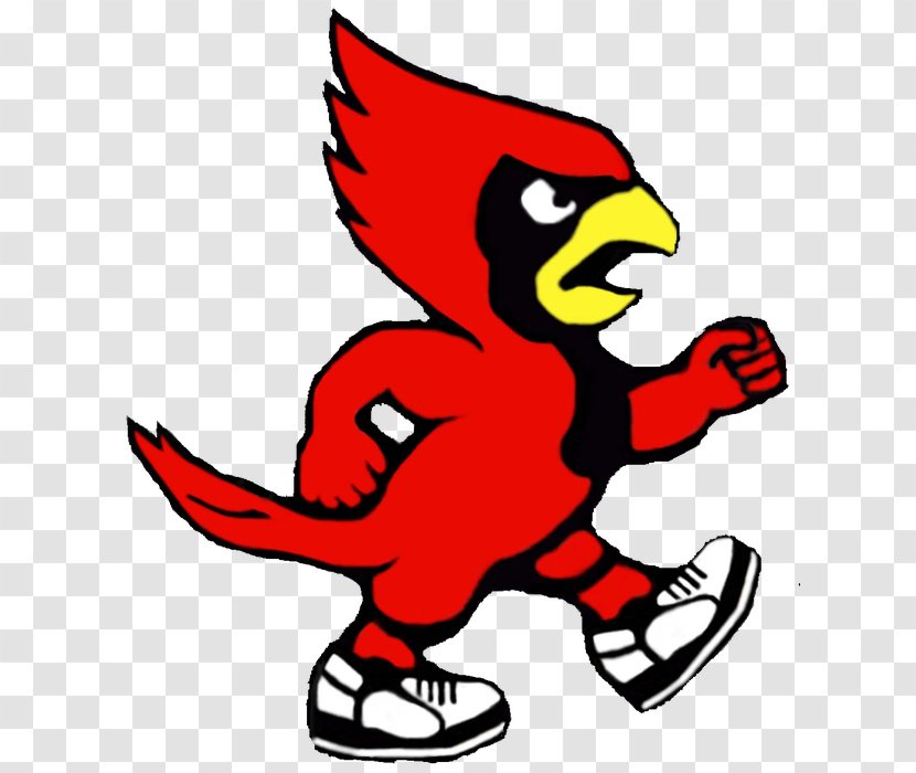 Louisville Cardinals Football St. Louis Men's Basketball Cardinal Bird Mascot - Art - Baseball Transparent PNG
