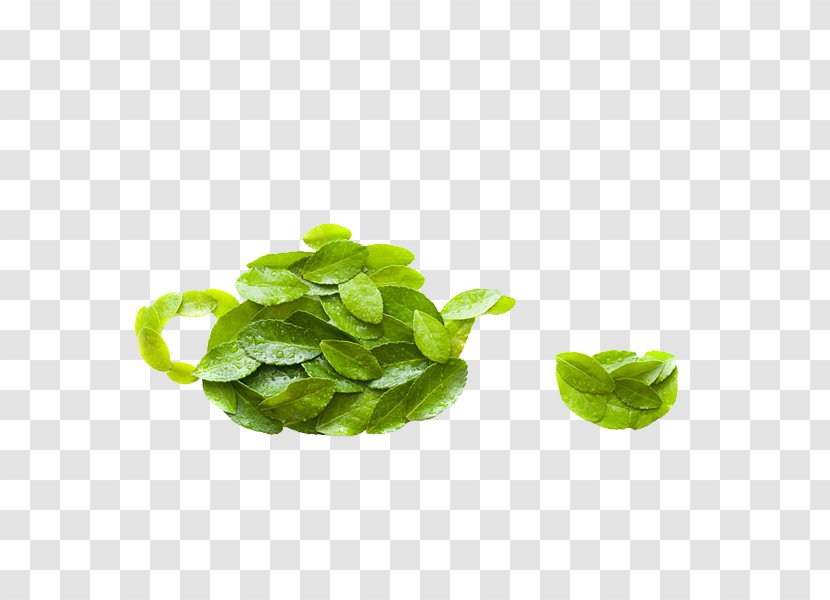 Green Tea Teapot Shape Teacup - Leaf Vegetable - A Table Transparent PNG